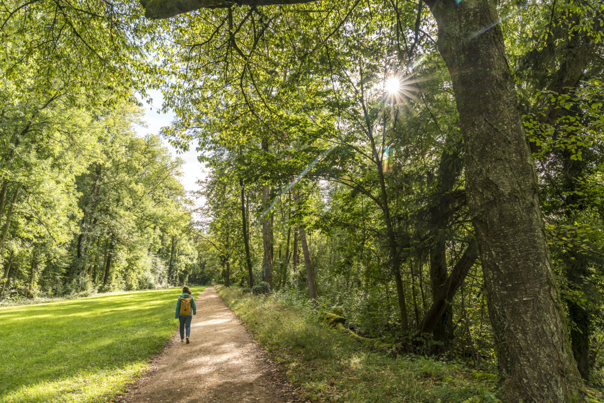 Wanderung St. Petersinsel