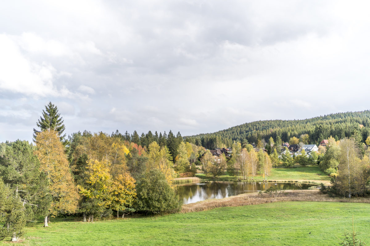 Aussicht WaldFunkeln Lodge