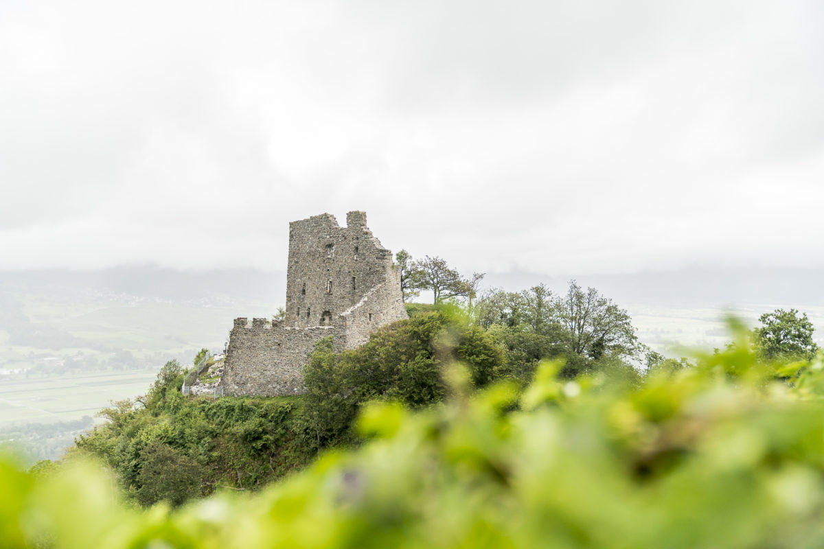 Burgruine Wartenstein