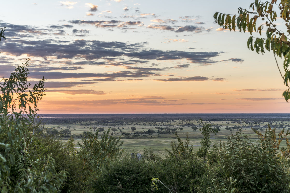 Chobe Elefant Camp Aussicht