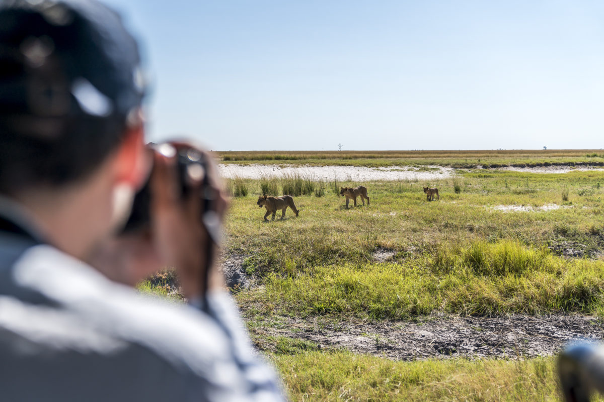 Chobe Nationalpark Botswana Safari