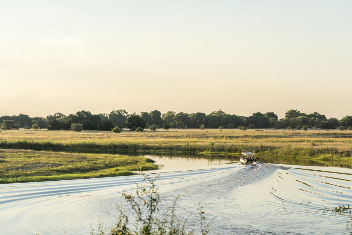 Chobe River Botswana