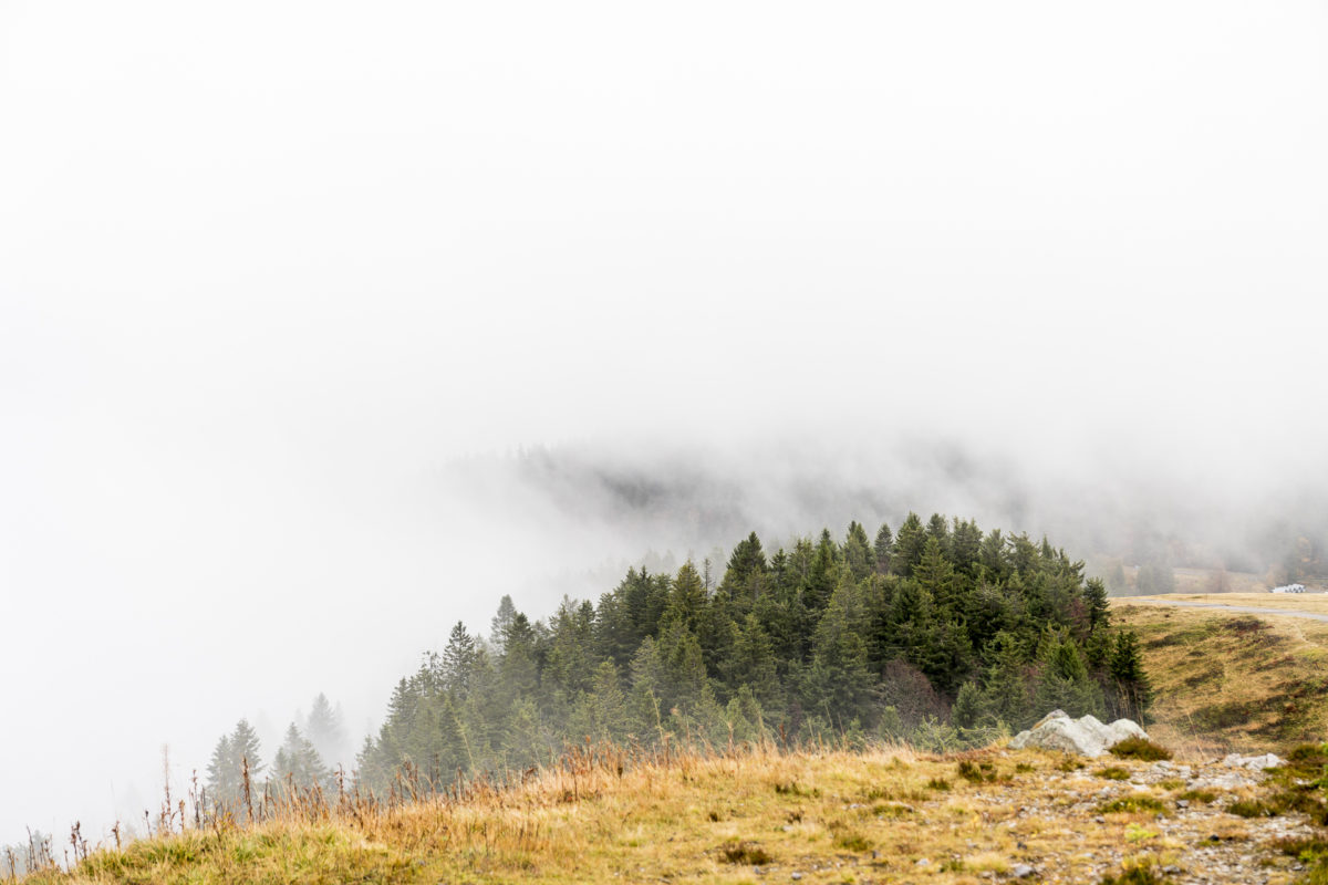 Feldberg Nebel