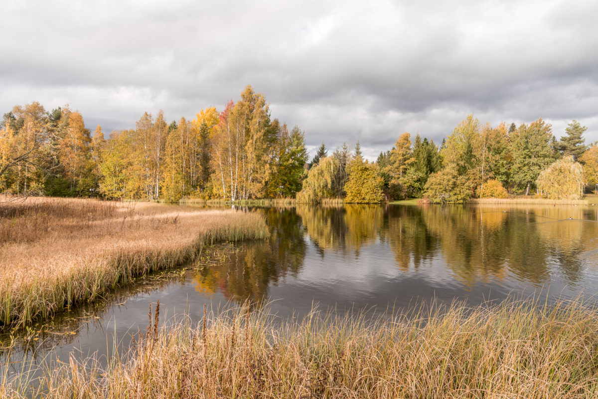 Hinterzarten Weiher