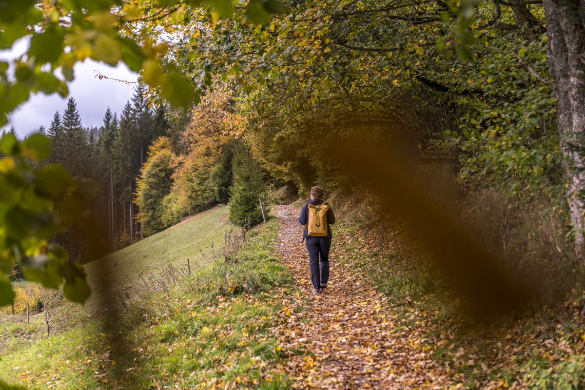 Hinterzarten Wanderung