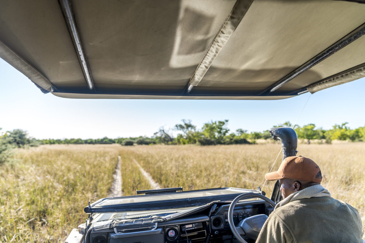 Botswana Safari: Pirschfahrt Okavango Delta