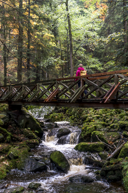 Ravennaschlucht Brücke