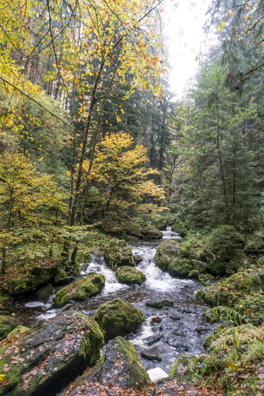 Ravennaschlucht Schwarzwald