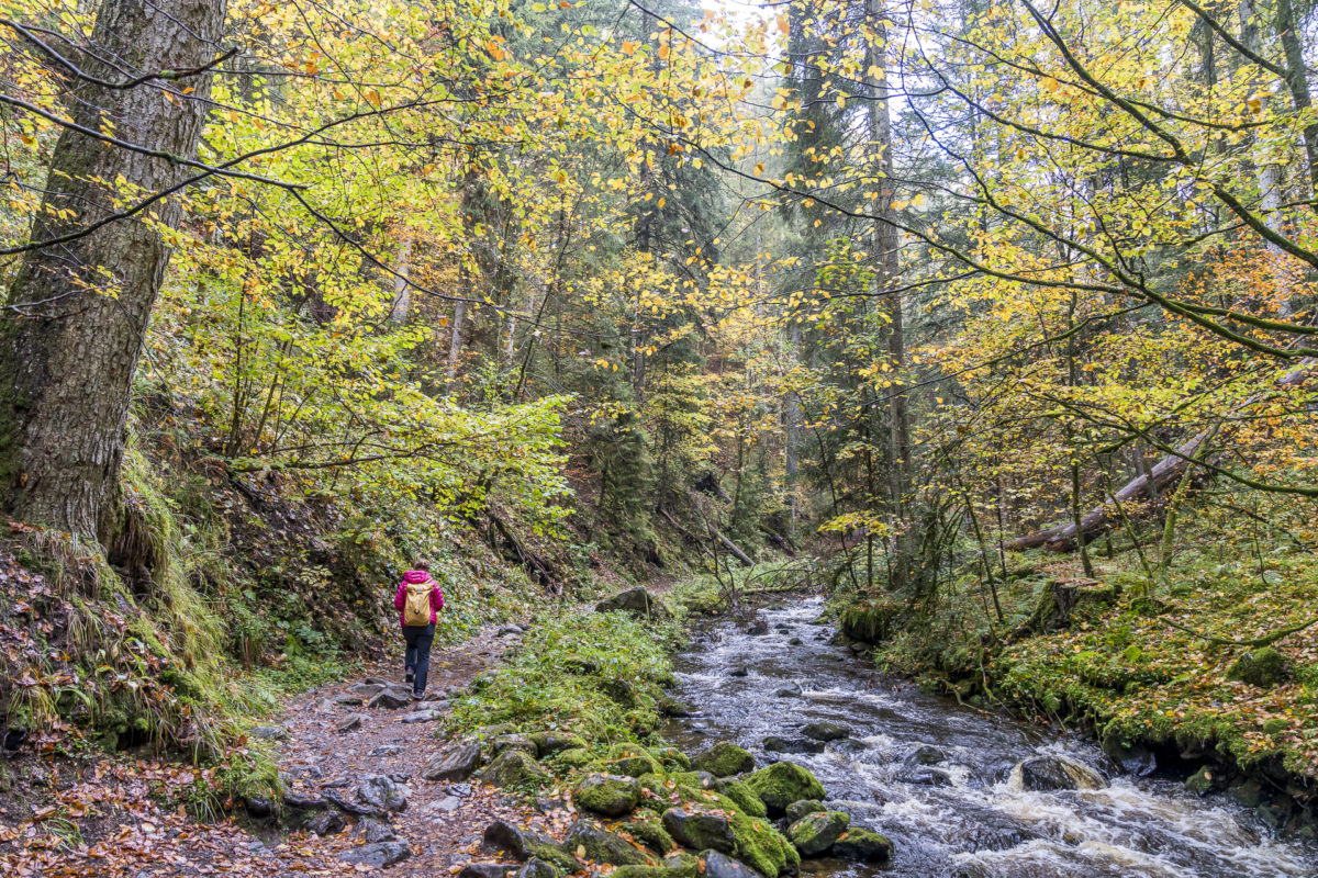 Ravennaschlucht Wanderung Hinterzarten