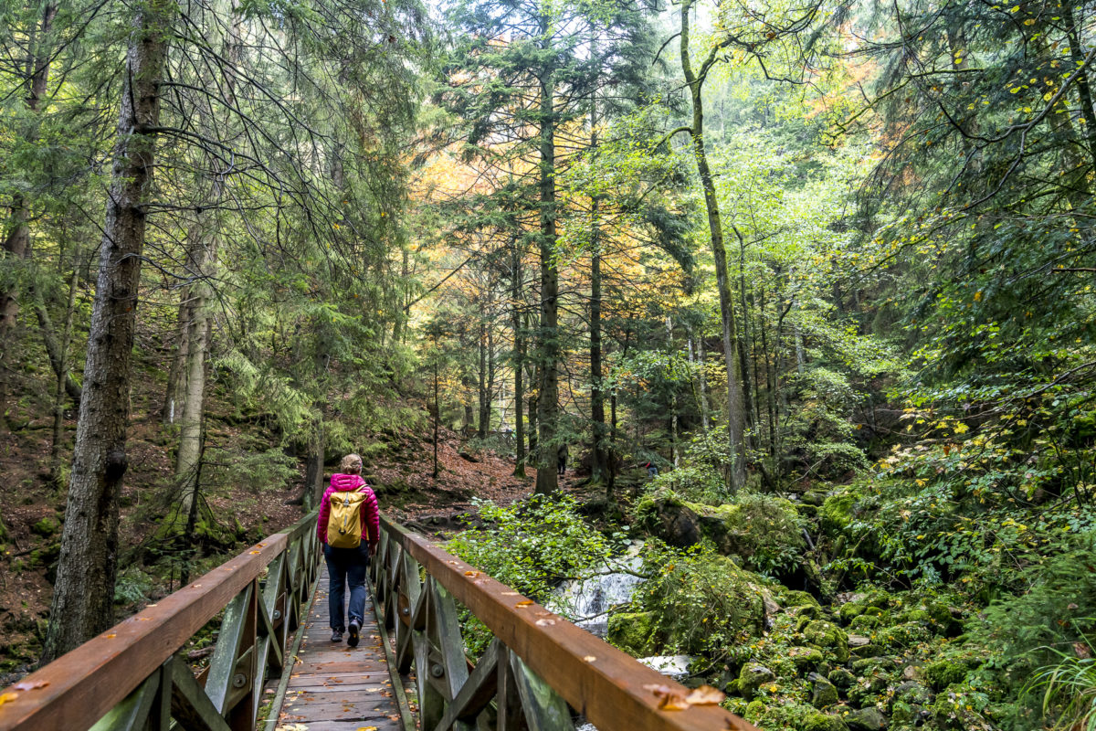 Wanderung Ravennaschlucht