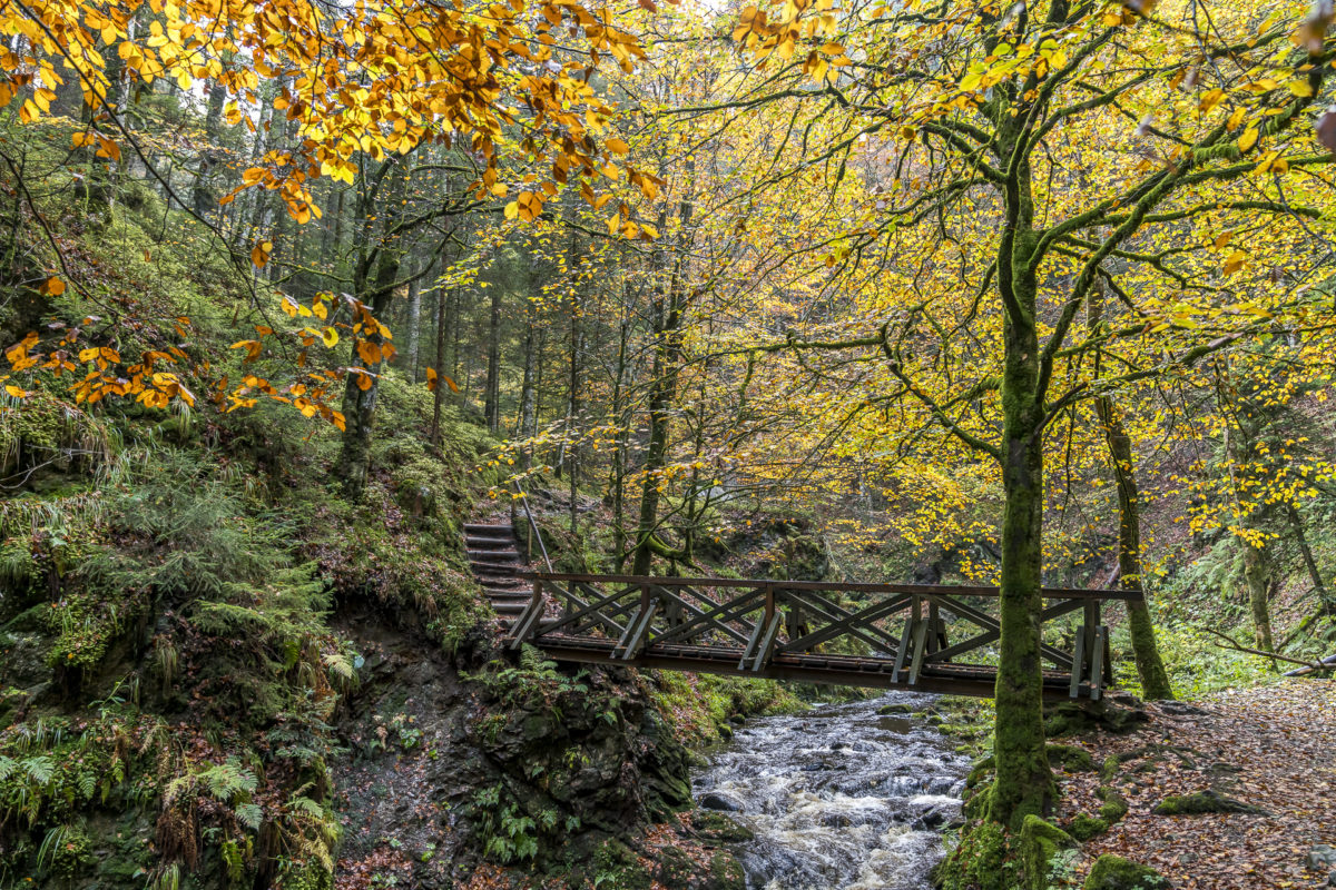 Ravennaschlucht Wandertipp