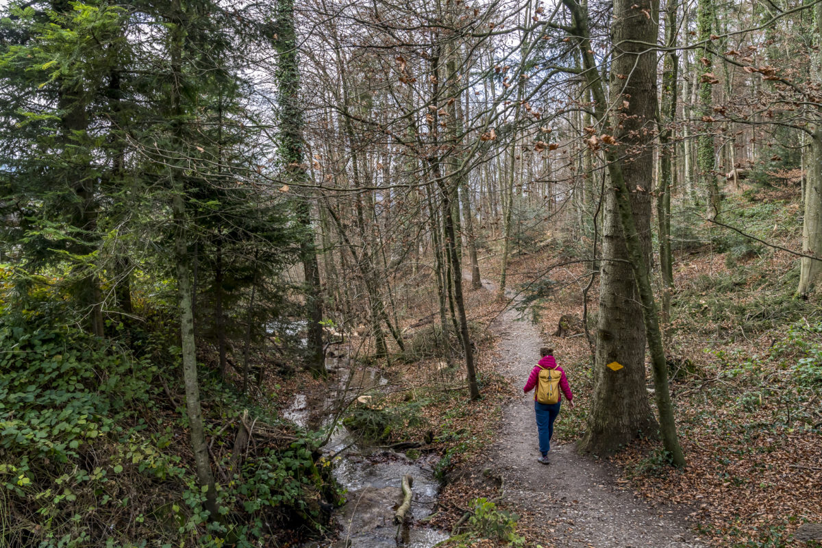 Altberg Wanderung