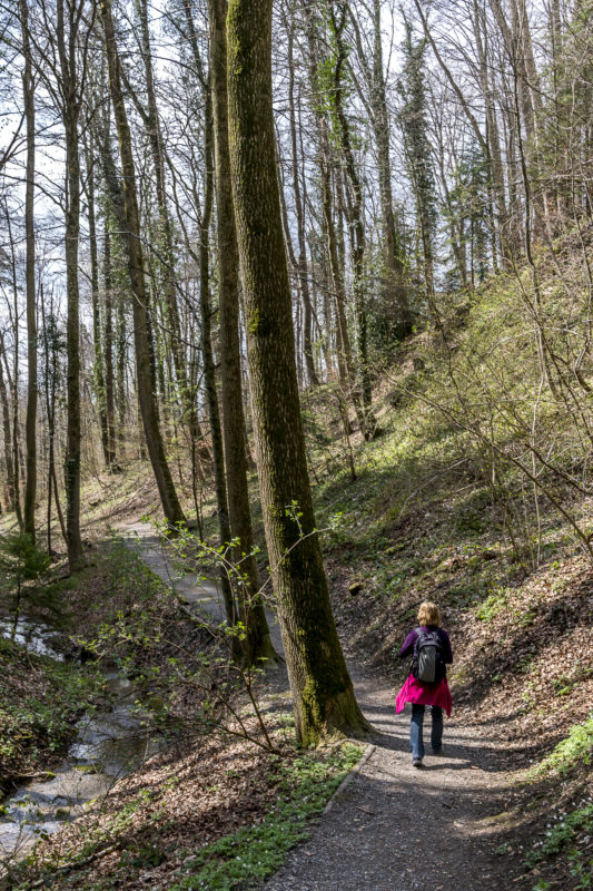 Erlenbacher Tobel Weg