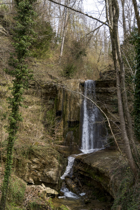 Erlenbacher Tobel