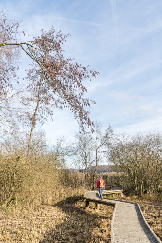 Neeracherried Wanderung