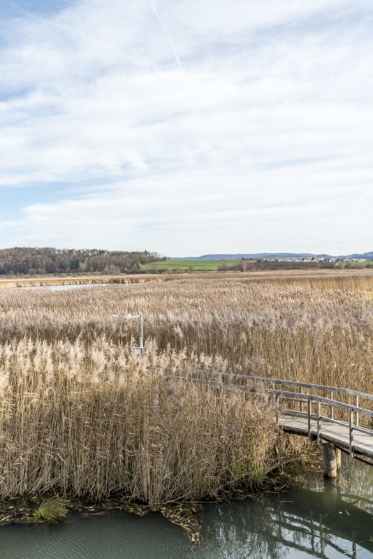 Neeracherried BirdLife Naturzentrum