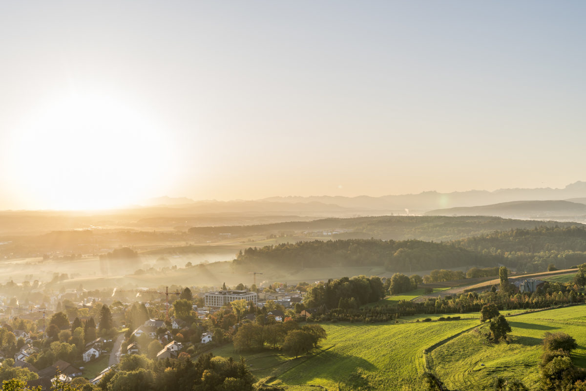 Regensberg Sonnenaufgang