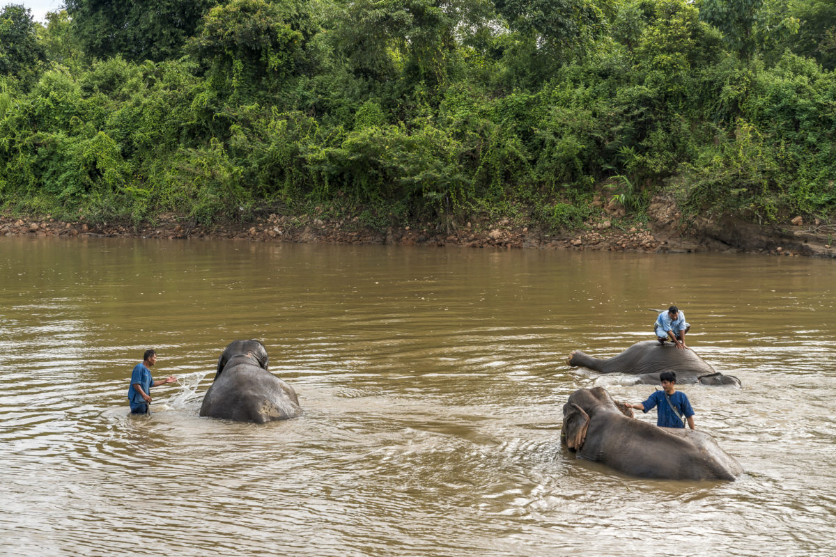 Elephant Experiences Anantara