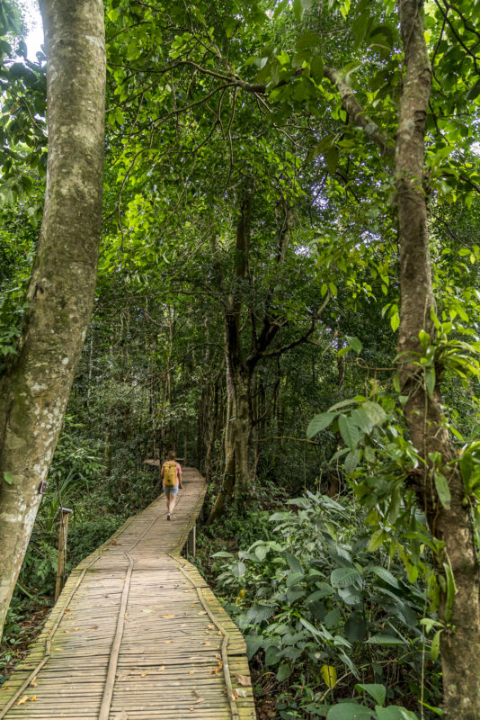 Ausflug Forest Park Northailand