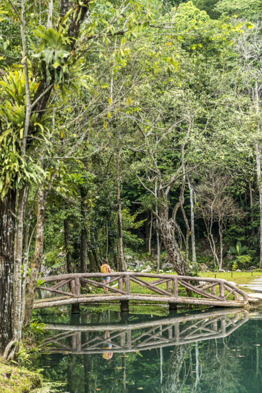 Tham Luang Khun Nam Nang Non Firest Park Nordthailand