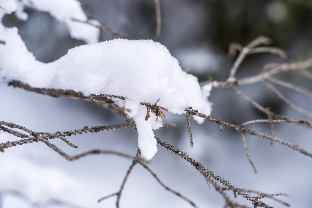 Winterlandschaft Kandersteg