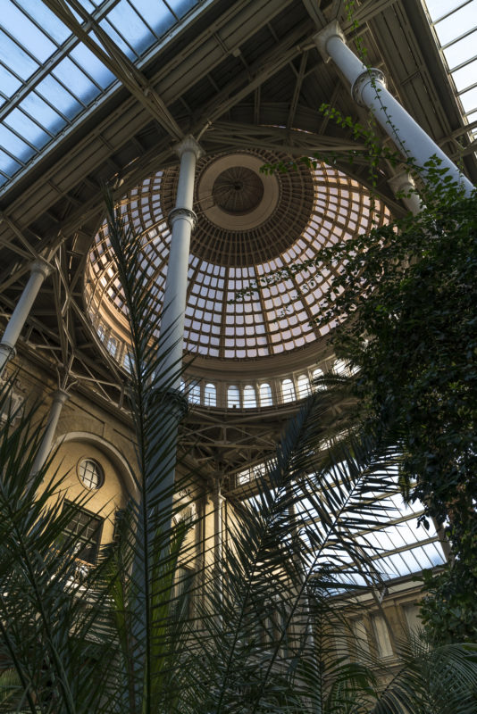 Atrium Carlsberg Glyptotek