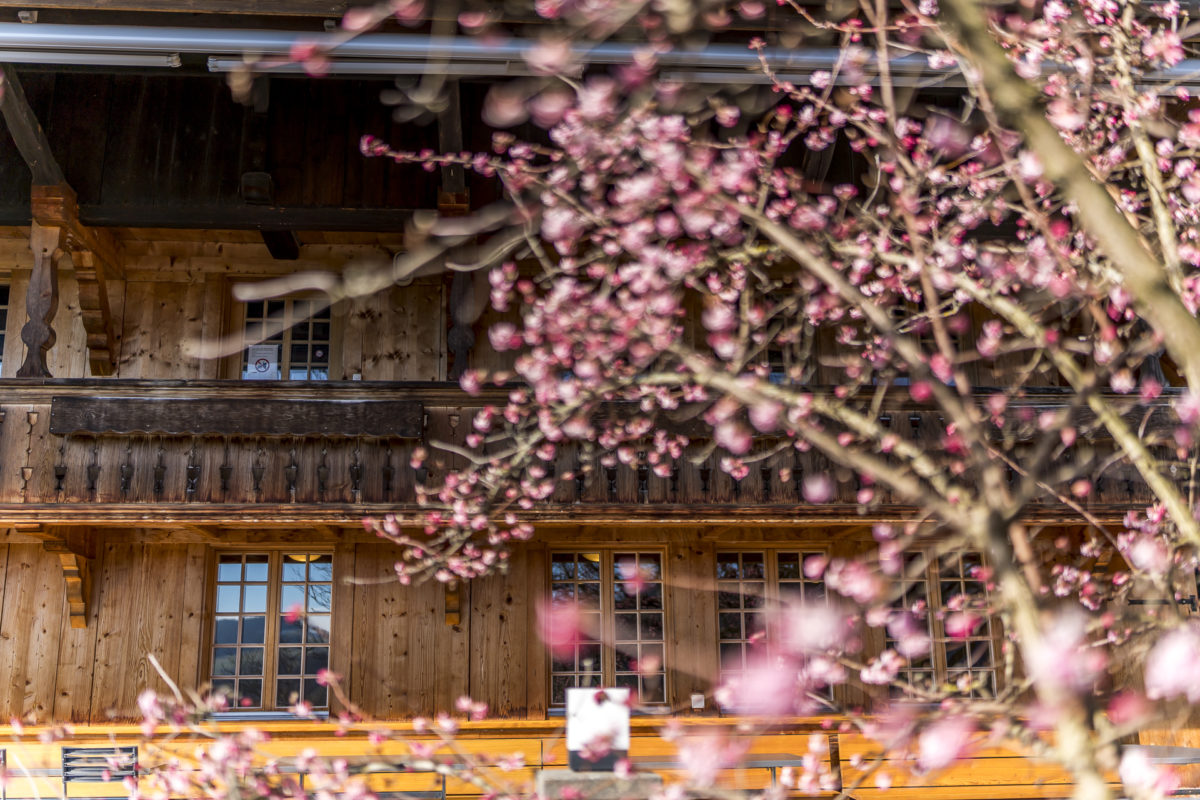 Frühling im Rüttihubelbad