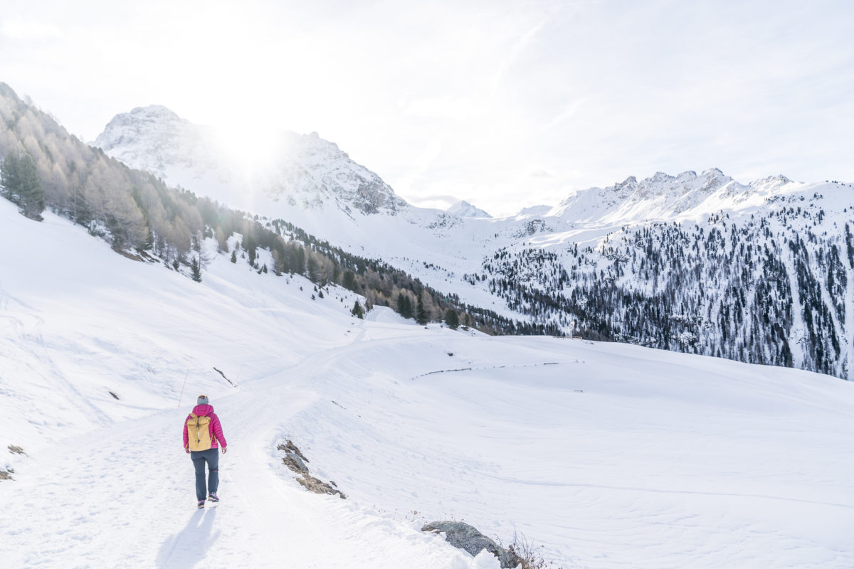 Winterwanderweg Weisshorn