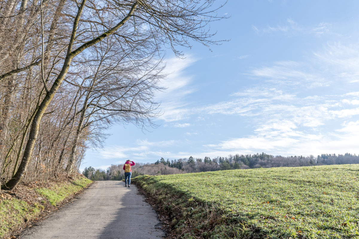 Worb Walkringen Landschaft