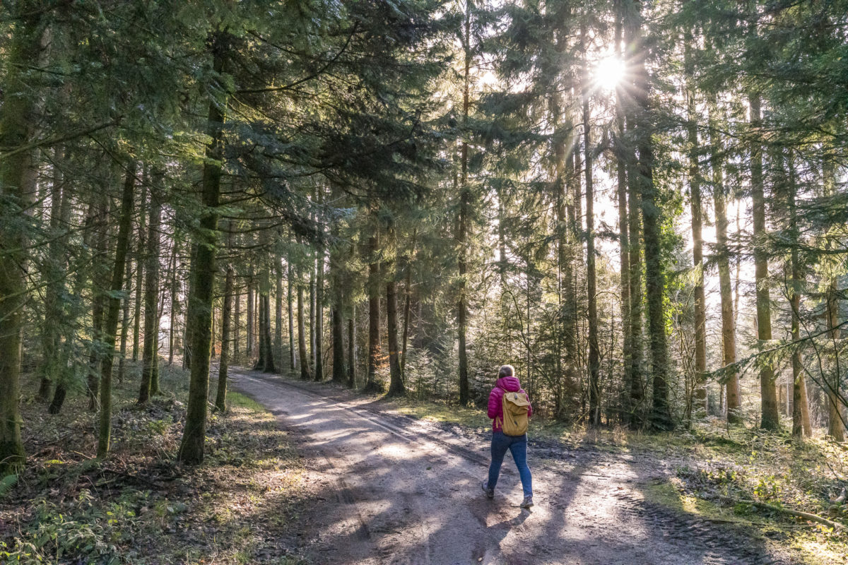 Worb-Walkringen Wanderweg