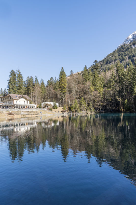 Blausee Berner Oberland