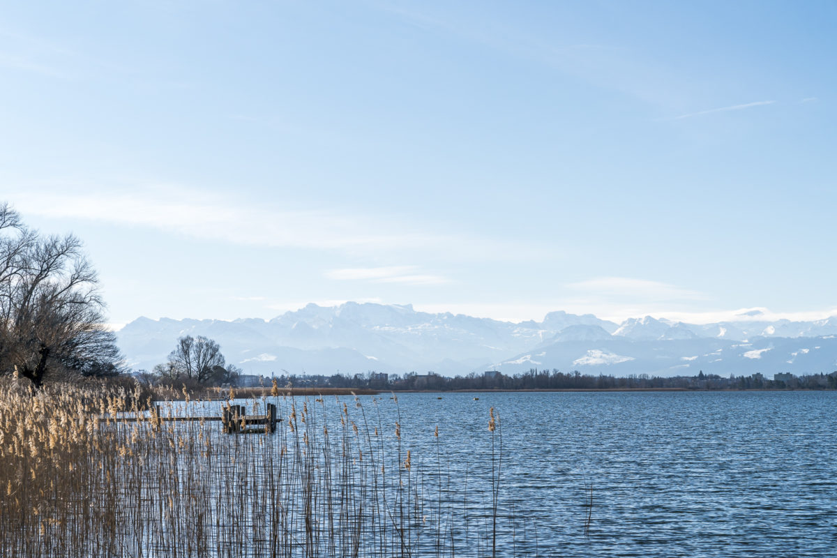 Pfäffikersee Pfäffikon