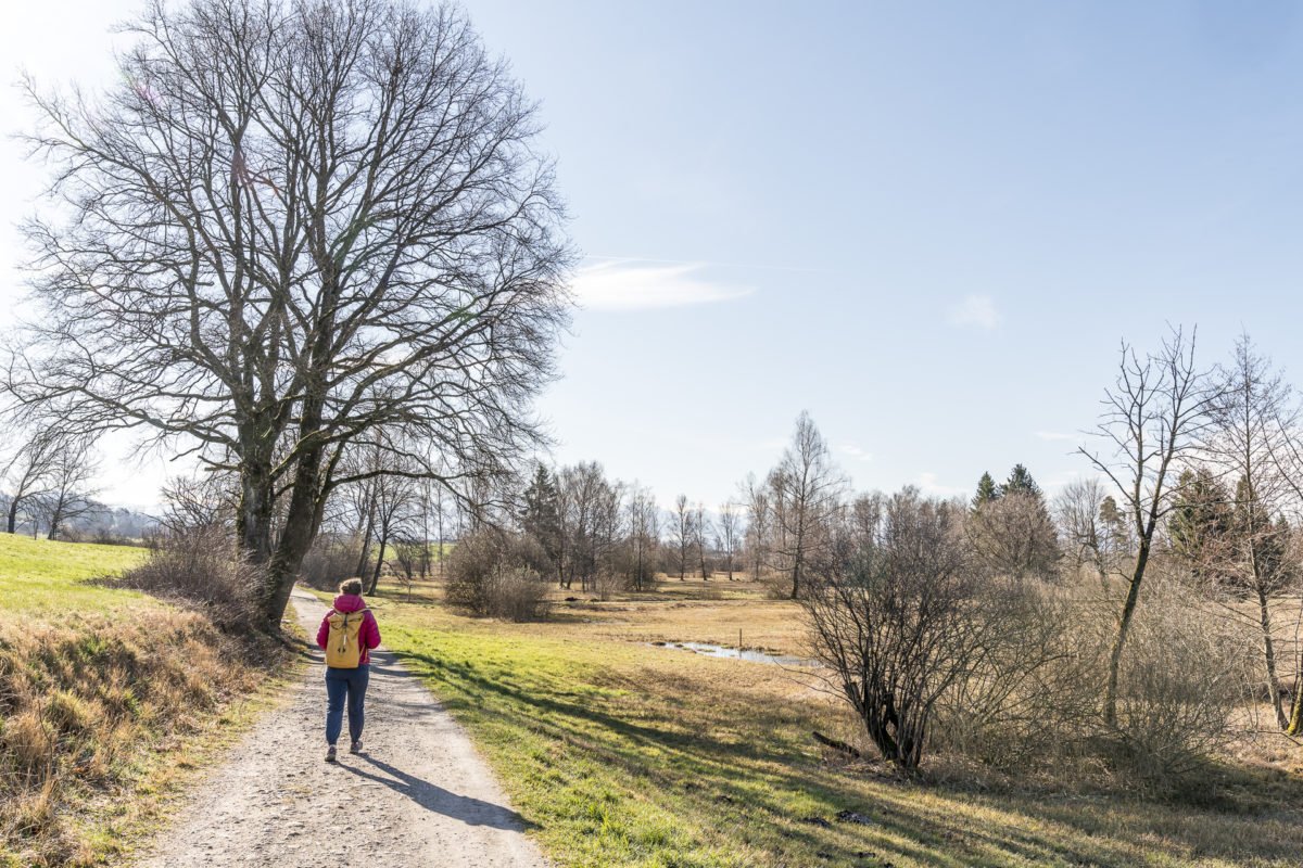 Pfäffikersee Rundwanderung