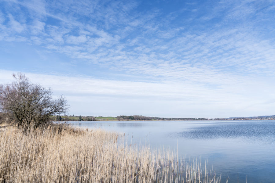 Pfäffikersee im Zürcher Oberland