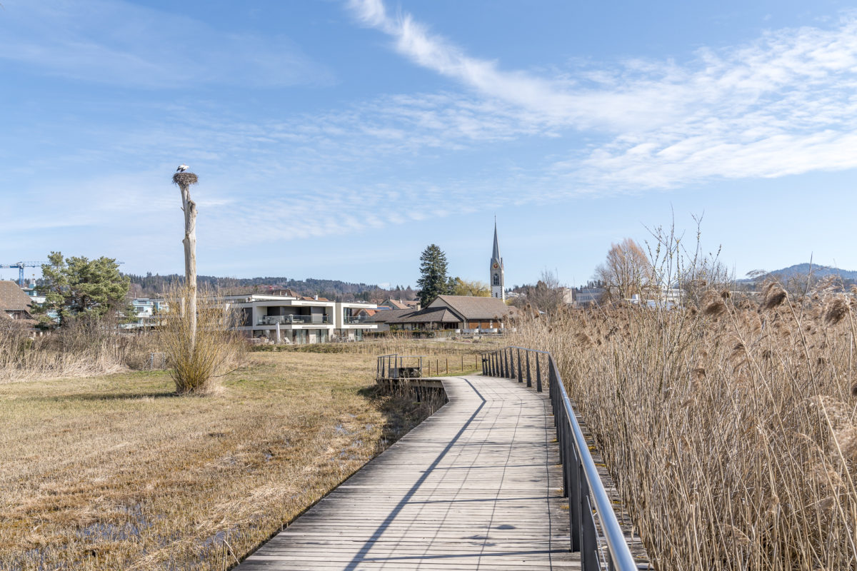 Pfäffikon Naturschutzgebiet