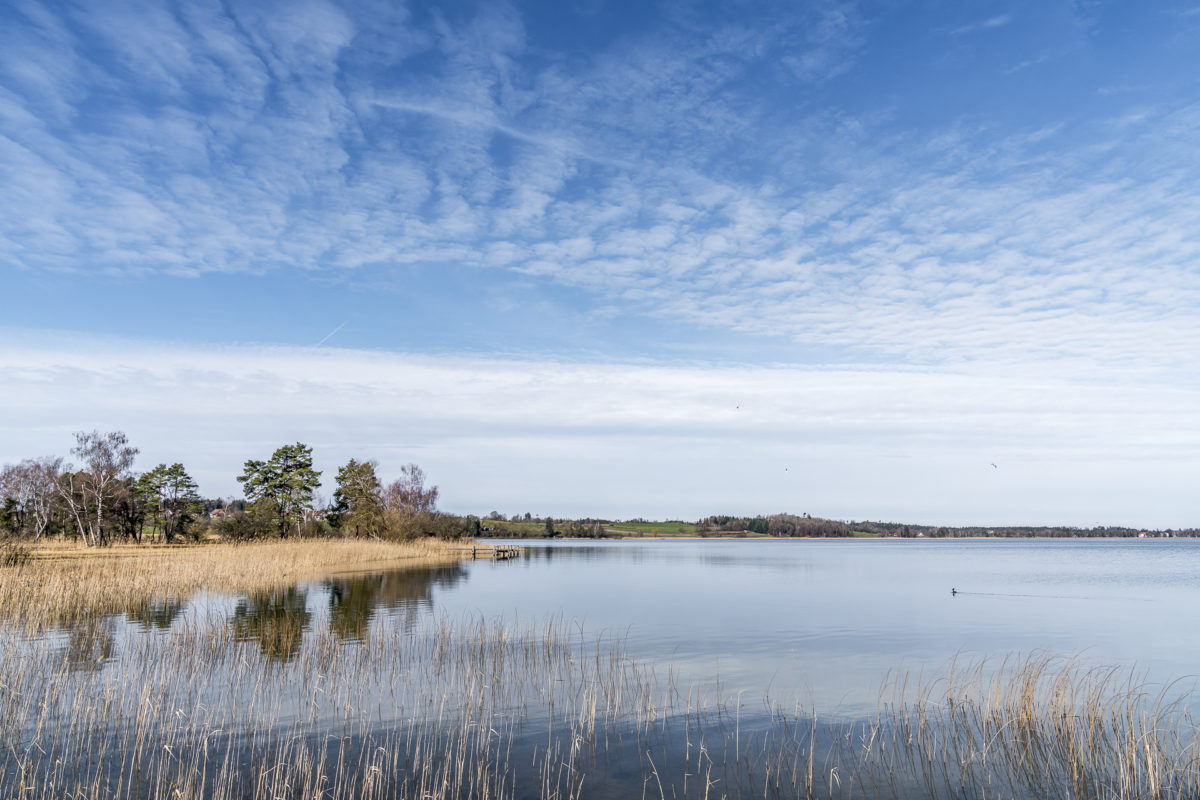 Rund um den Pfäffikersee