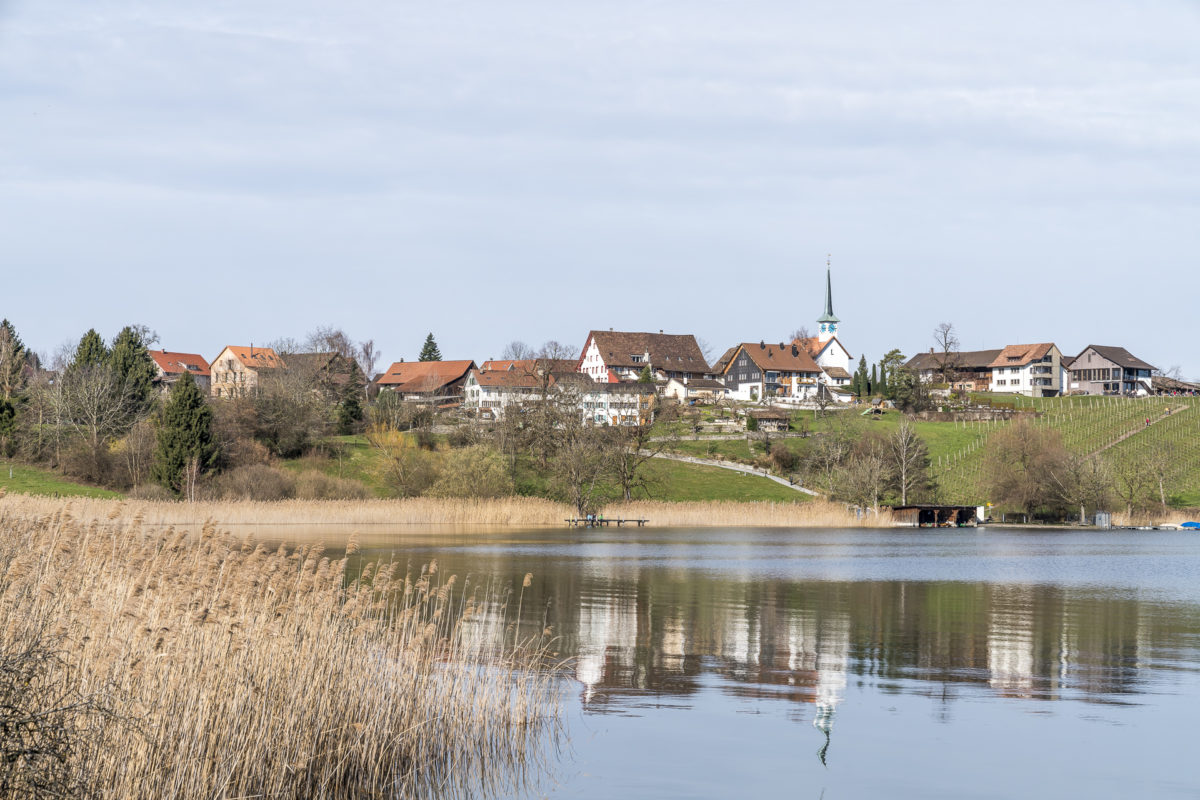 Seegräben am Pfäffikersee