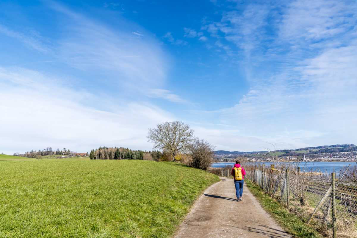 Von Seegräben nach Pfäffikon