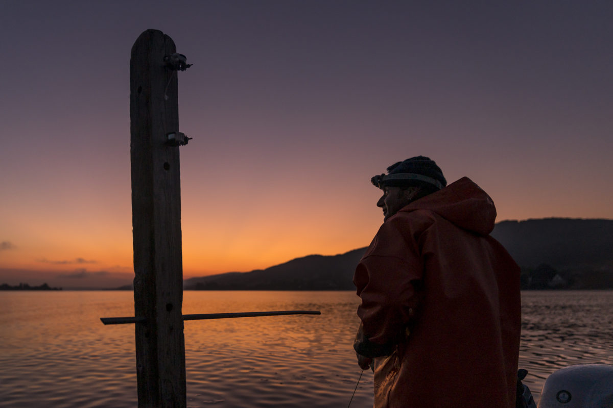 Sonnenaufang am Bodensee