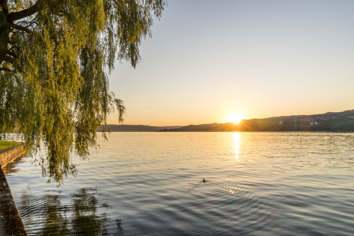 Sonnenuntergang am Bodensee