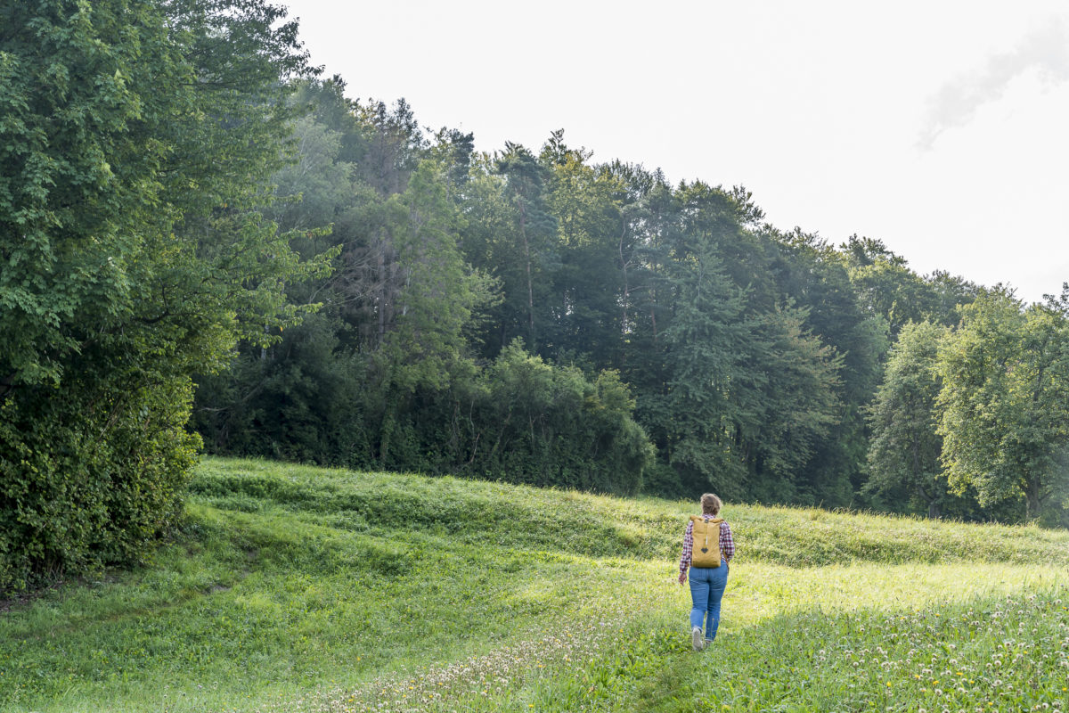 Thurgauer Seerücken Wanderung