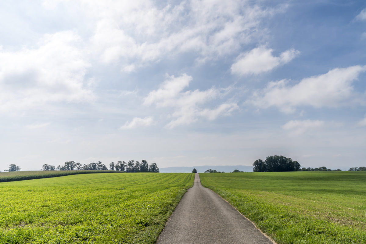 Thurgauer Seeruecken Wanderung