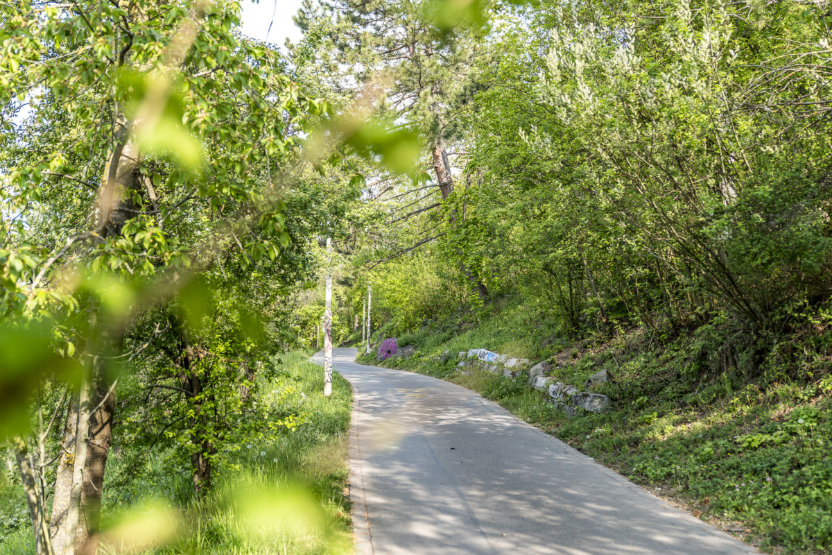 Limmat Wanderweg