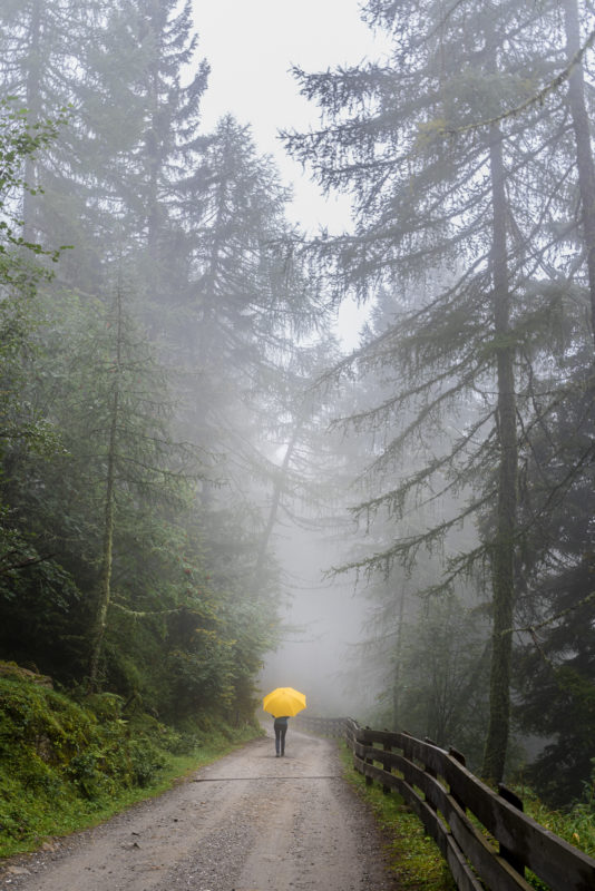 Wandern in Südtirol