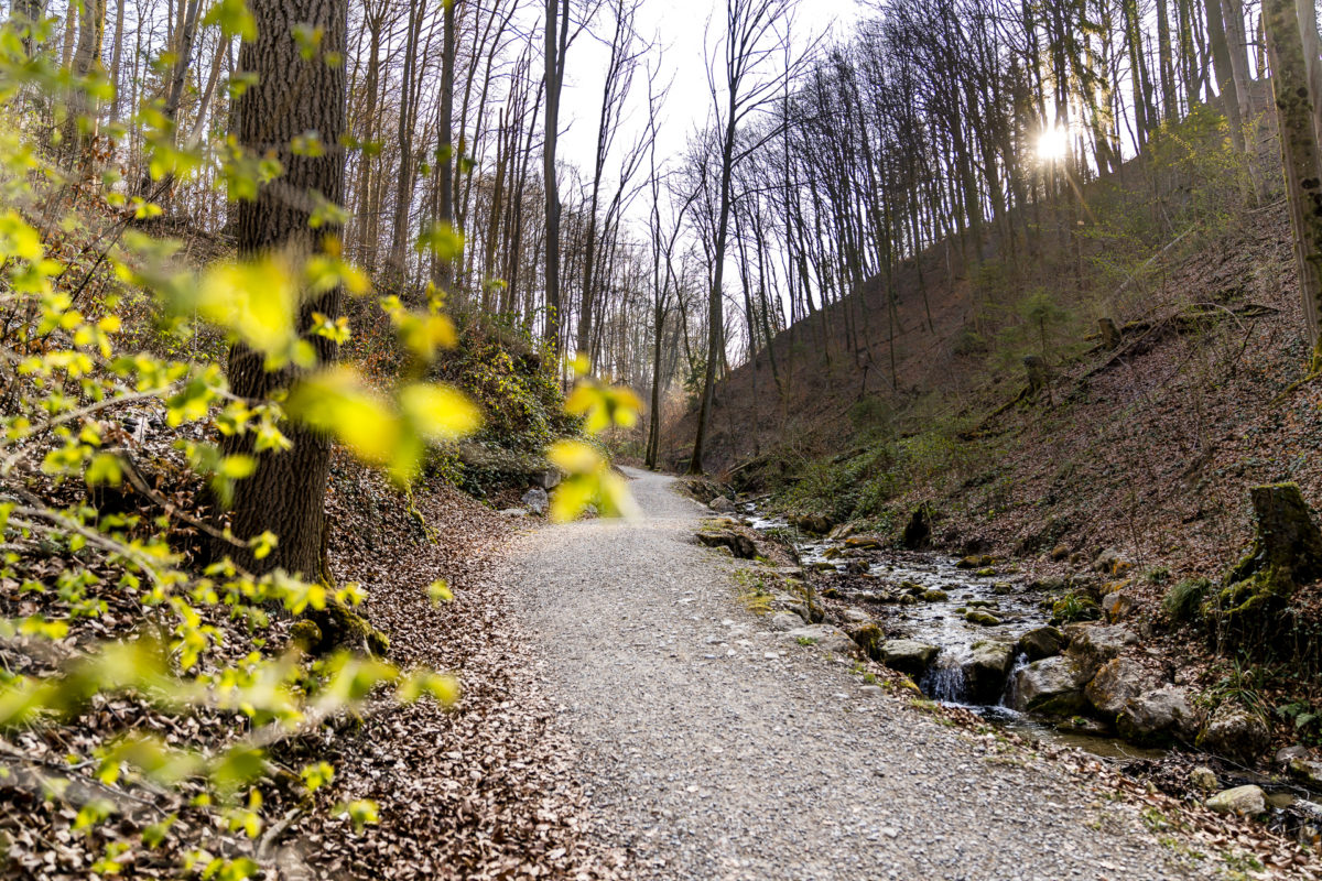 Geologisches Wandern in Zürich