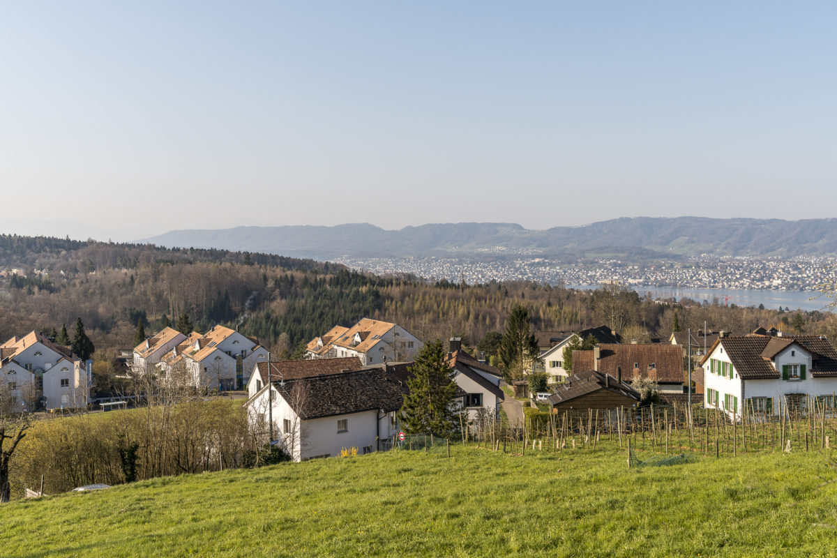 Aussicht Zürich Witikon