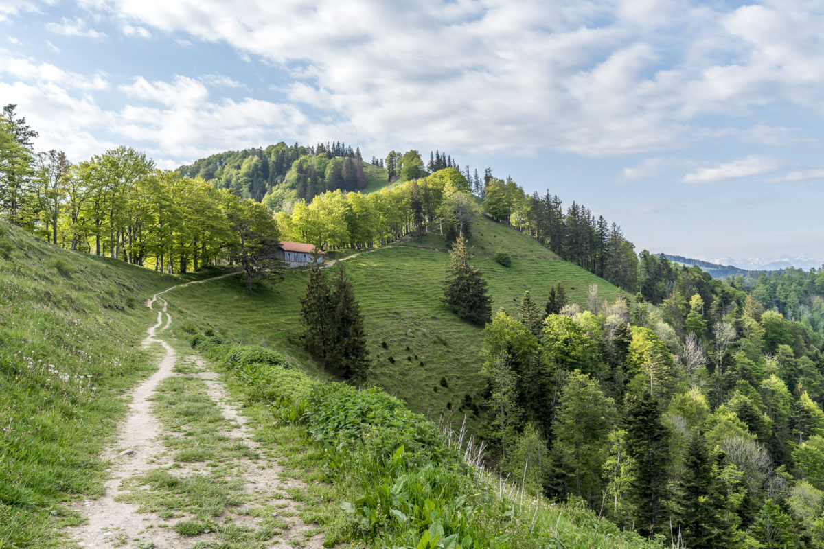 Aufstieg Schnebelhorn