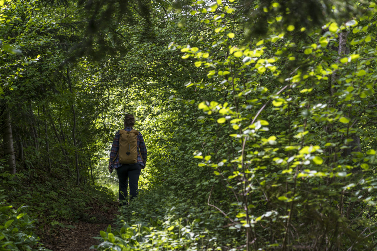 Degersheim Wandern