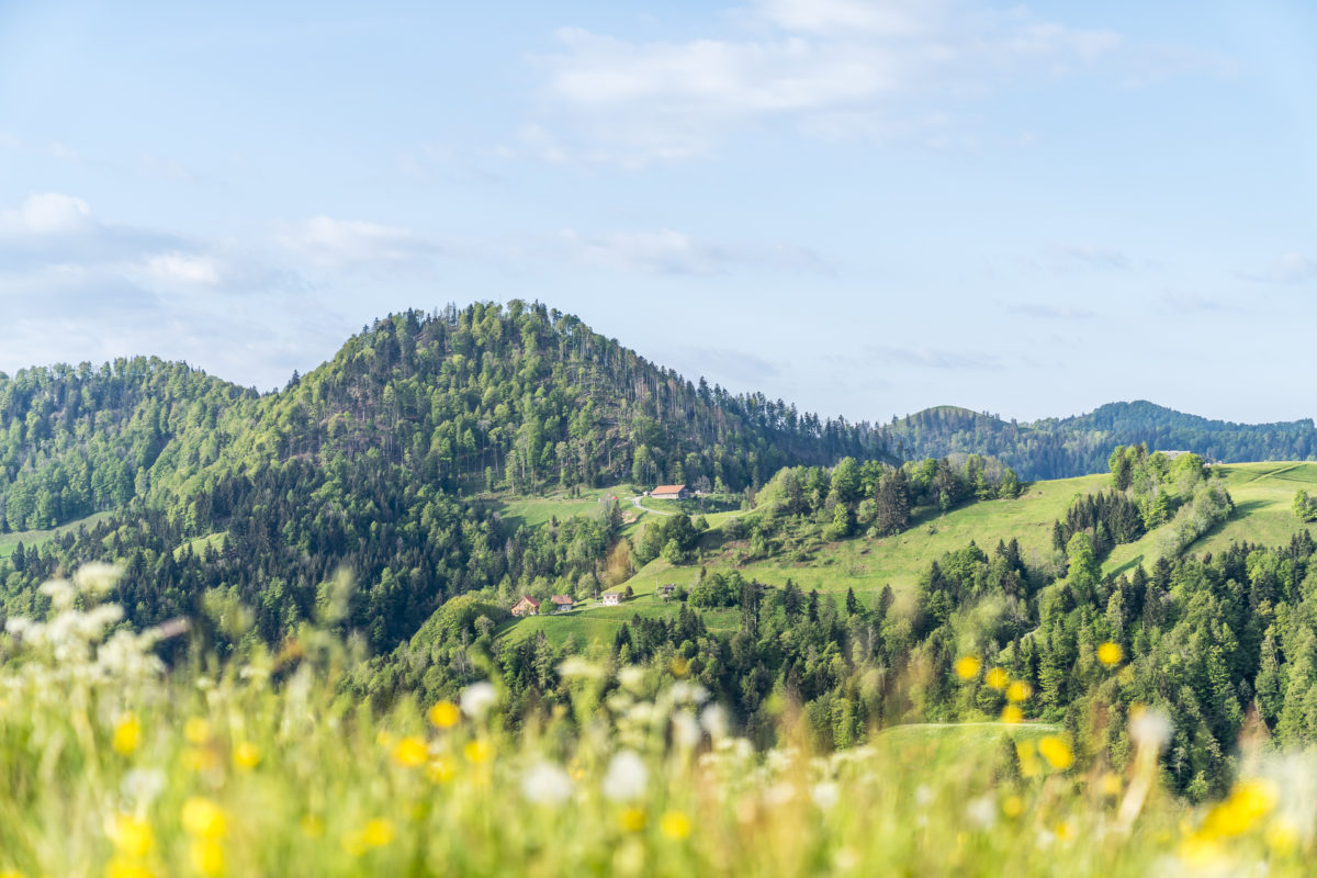 Frühling im Zürcher Oberland