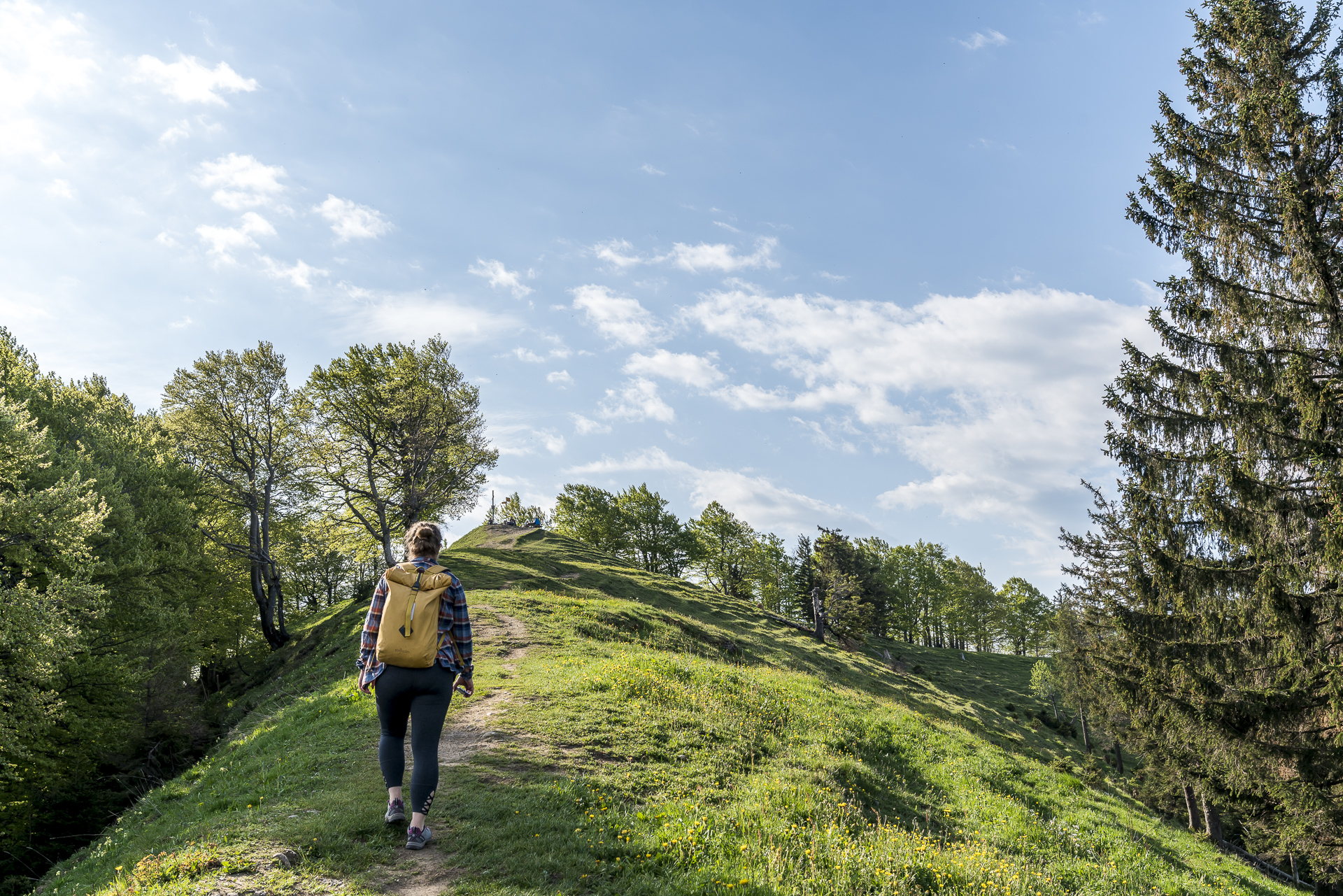 Schnebelhorn - Wanderung auf den höchsten Gipfel im Kanton Zürich
